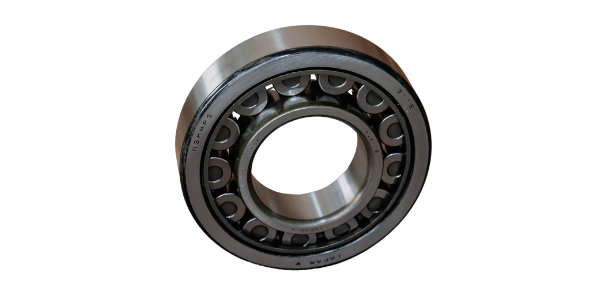 Rodamientos para motores electricos 600x300